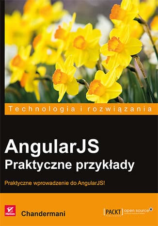 Okładka: AngularJS