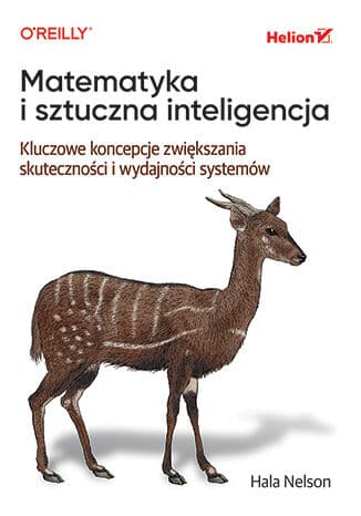 Okładka: Matematyka i sztuczna inteligencja