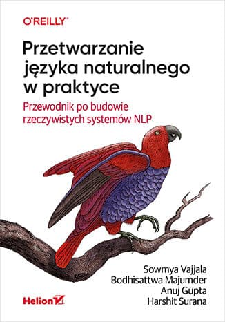 Okładka: Przetwarzanie języka naturalnego w praktyce