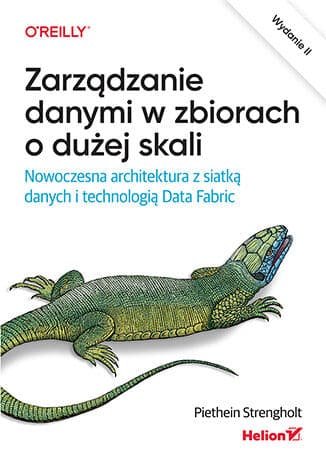 Okładka: Zarządzanie danymi w zbiorach o dużej skali